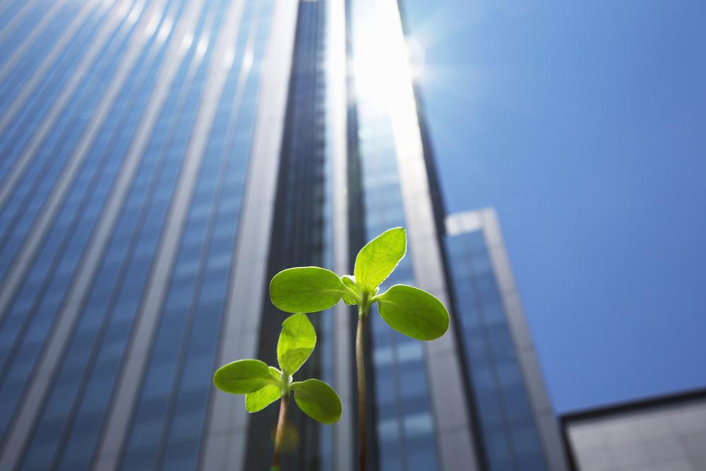 Going Green? Why Virtual Office Solutions Are Your Ticket to a Paperless Workplace